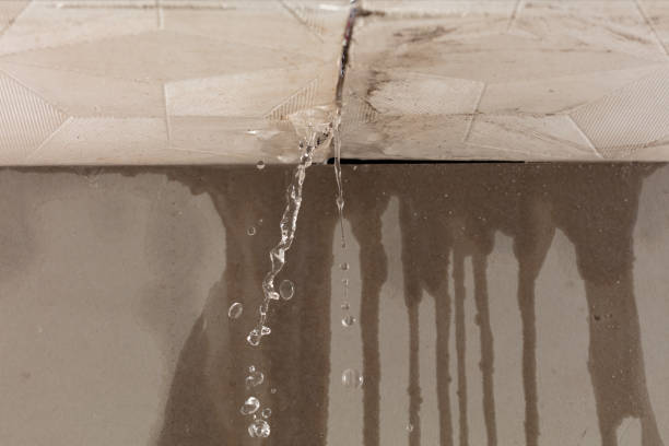 Professional Flood Damage Cleanup technician working in Clarks Grove, MN